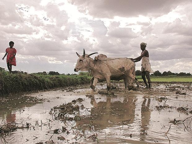  Tamil Nadu CM Stalin announces 112 million rupees for rain-damaged farmers